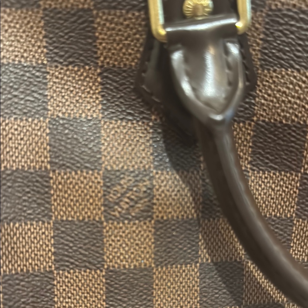 Louis Vuitton Damier Speedy Checkered Tote - Picture 2 of 8